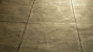 Photo of Cell filled Concrete Pavement – Components, Advantages, and Disadvantage